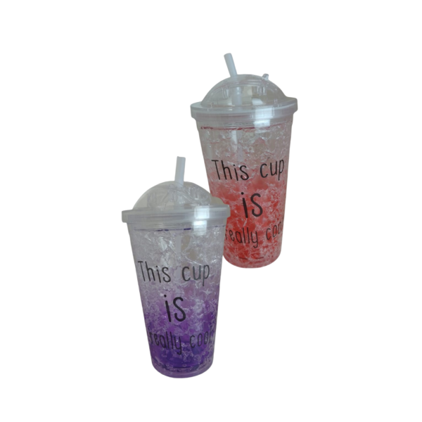 VASO PLASTICO DOBLE PARED CON SORBETE